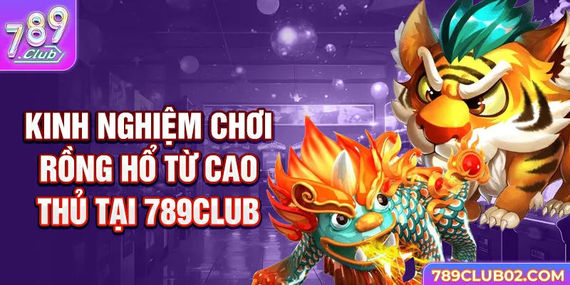 Kinh nghiệm chơi Rồng Hổ từ cao thủ tại 789Club.